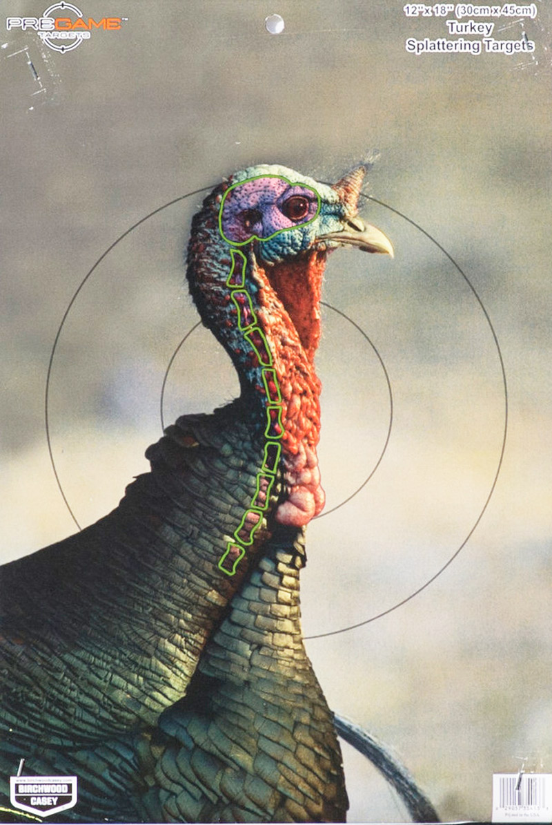 DINDON SAUVAGE Pour des tirs propres Magazine 100 CHASSE PÊCHE — free download